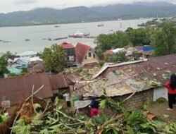 Ambon Dilanda Hujan Lebat dan Angin Kencang, Beberapa Pohon Tumbang