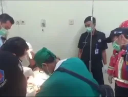 Bukan Jari, Tapi Joni! Aksi Penyelamatan Cincin Terunik Tahun Ini 5 Bukan Jari, Tapi Joni! Aksi Penyelamatan Cincin Terunik Tahun Ini