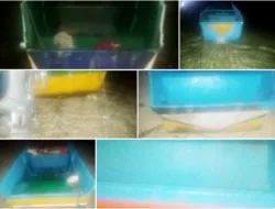 Mencekam 10 Mesin Tempel Raib di Tutunametal, Warga Resah Diteror Maling