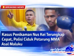 Kasus Penikaman Nus Kei Terungkap Cepat, Polisi Ciduk Petarung MMA Asal Maluku