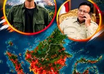 Chanee Kalaweit Pertanyakan Laporan Karhutla 639 Hektare ke Prabowo